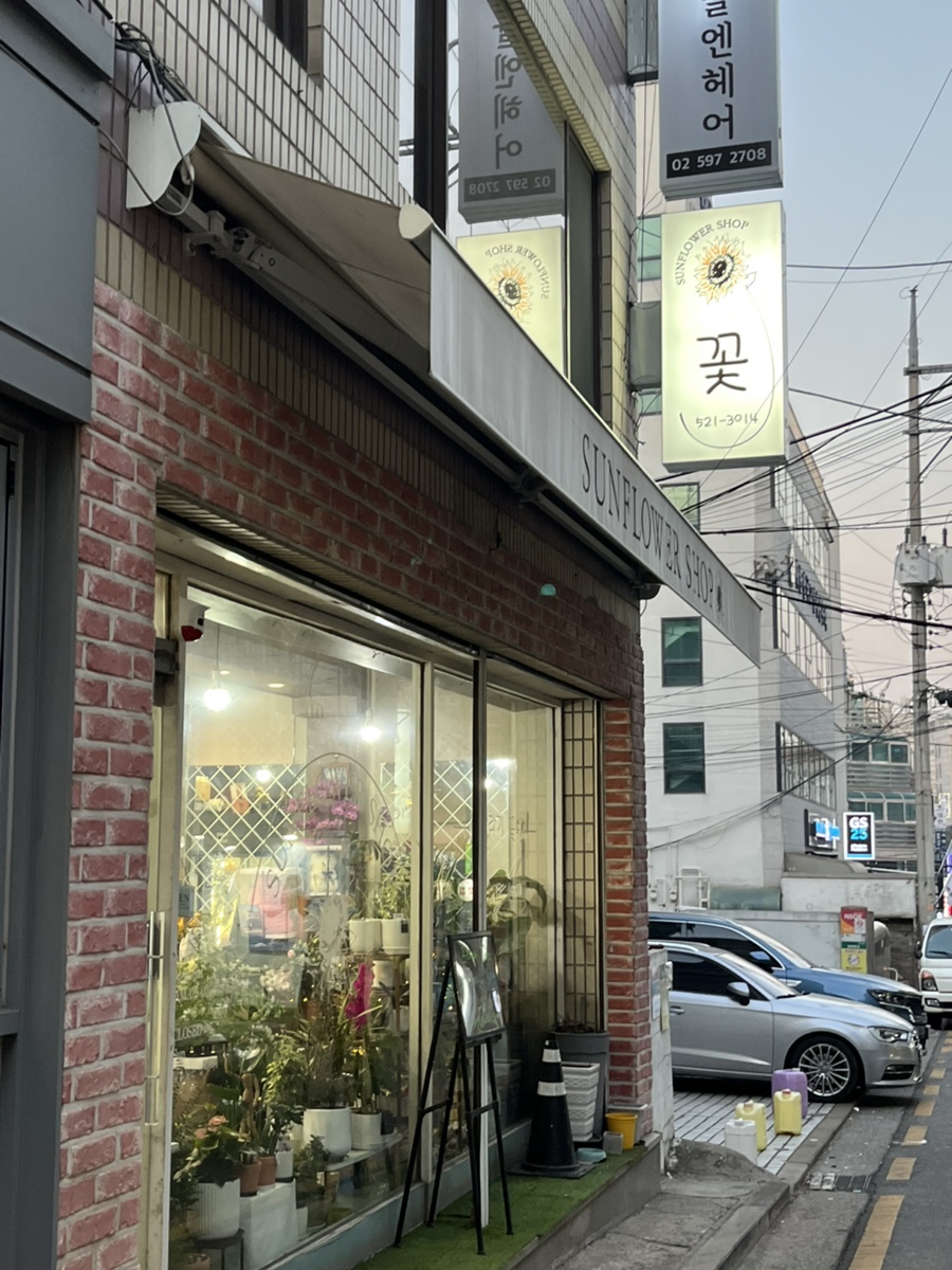 꽃방해바라기 이미지