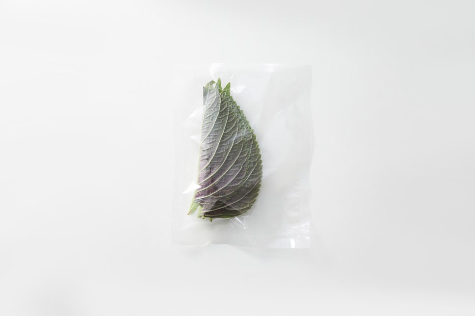 명진사 이미지