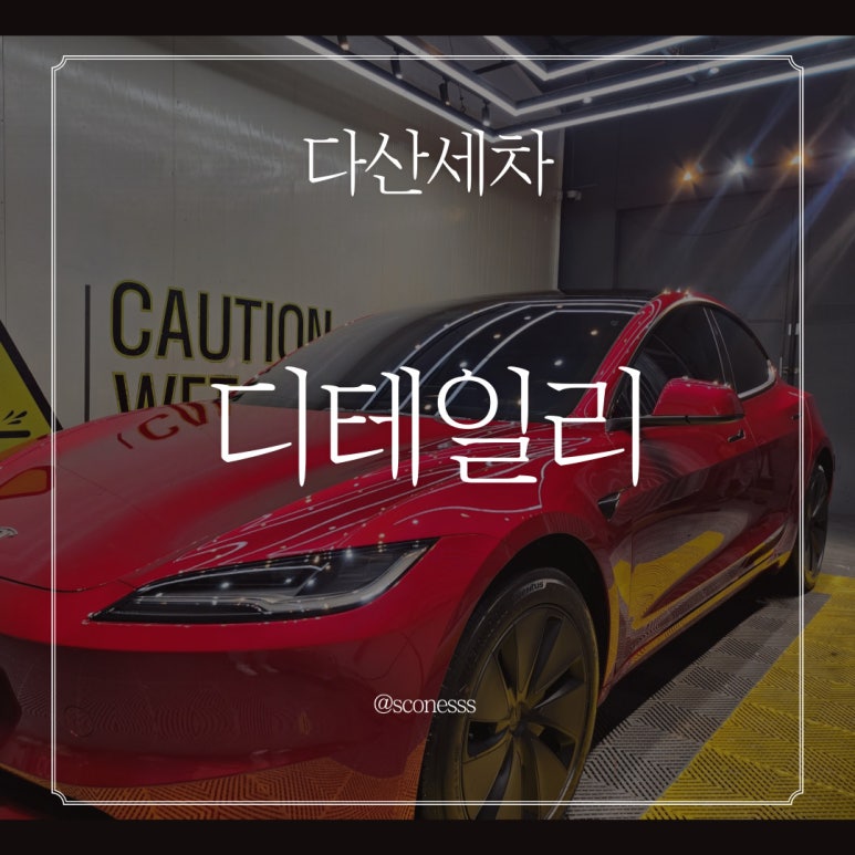 디테일리 이미지