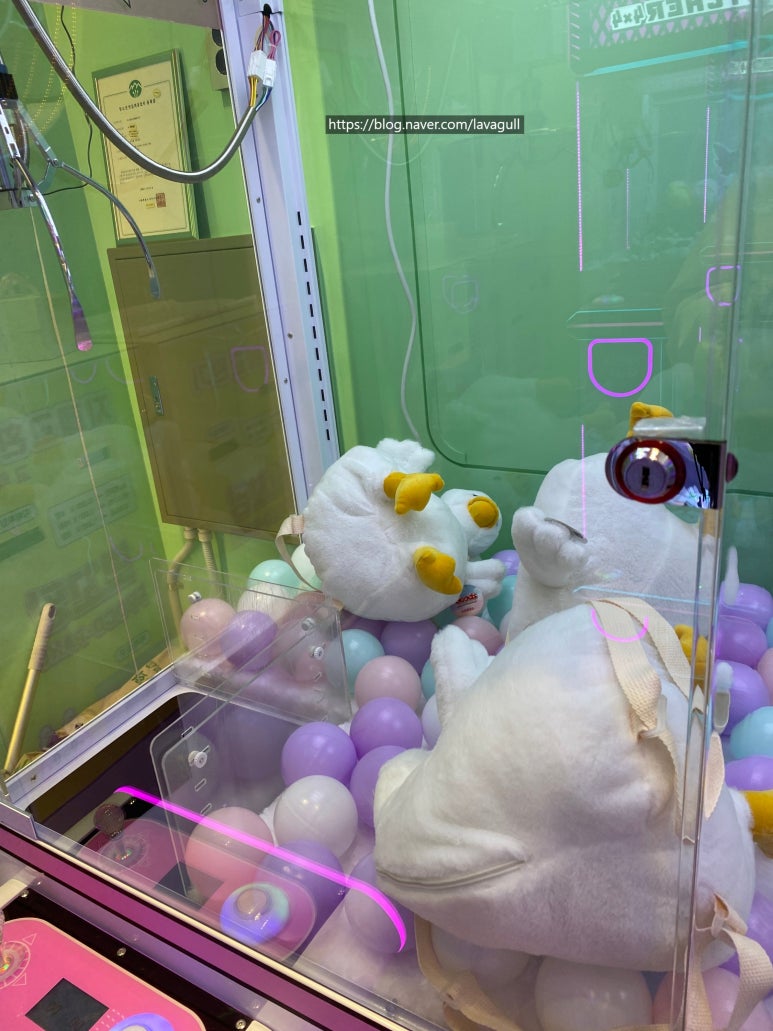 뽀꼬팡 이미지