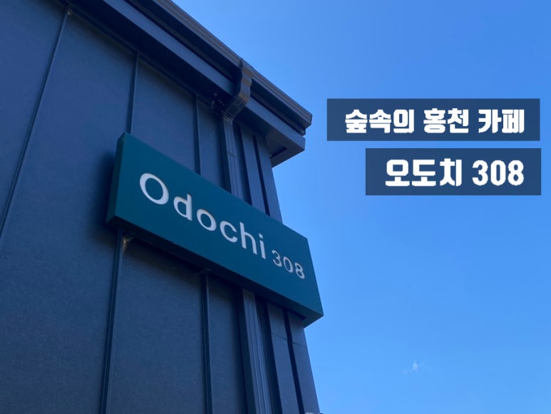 오도치308 이미지