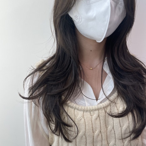 데일리브라운 이미지