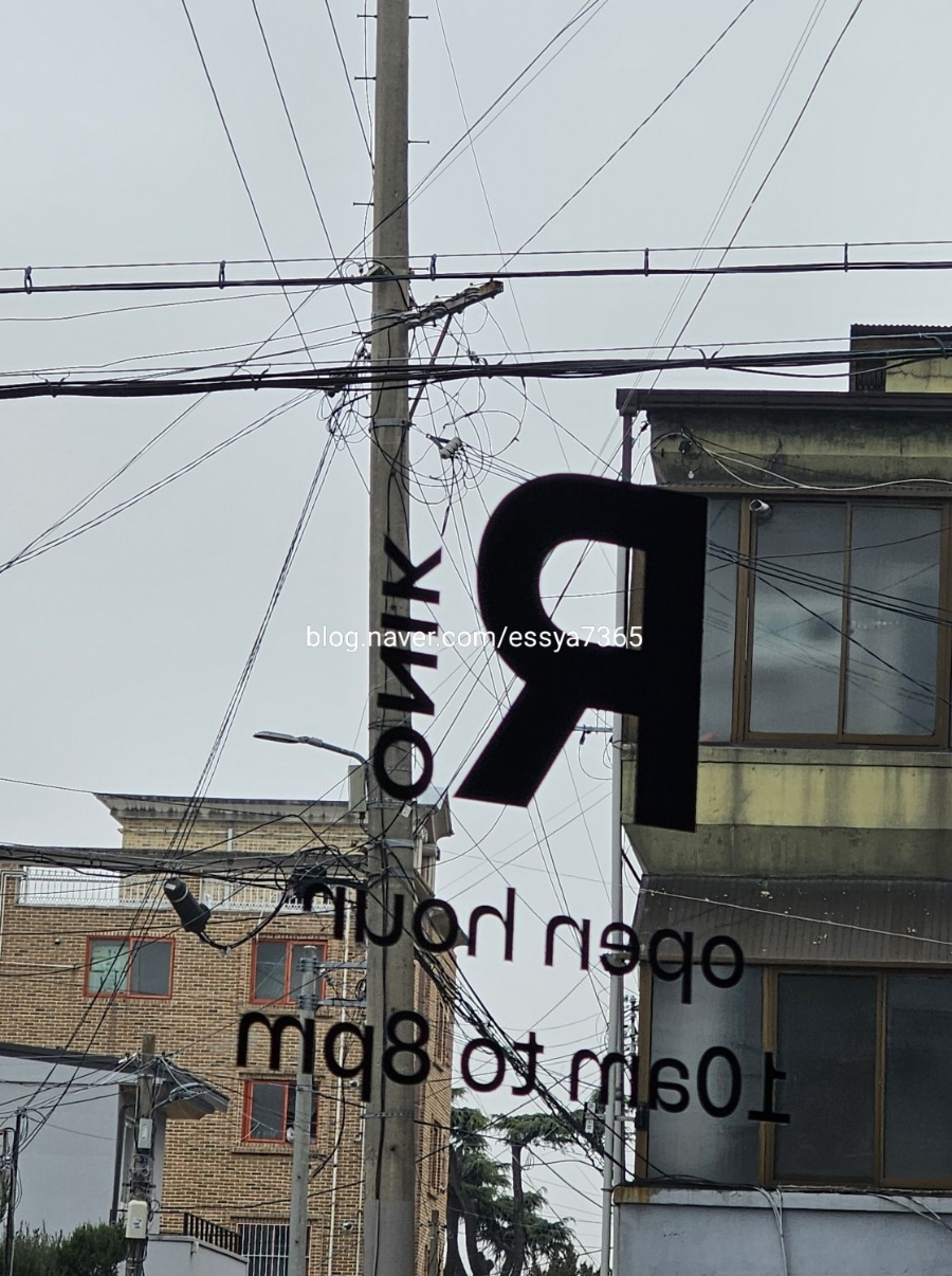 로니크 이미지