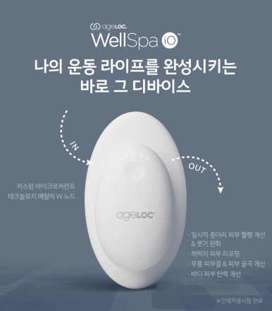 웰스시 이미지