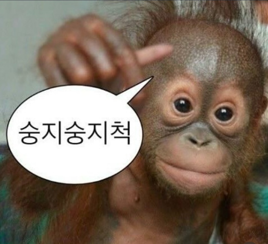 여기;봄 이미지