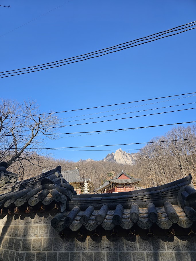 파타고니아도봉산점 이미지