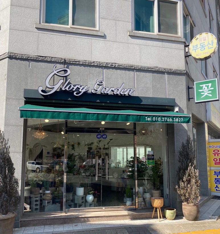 글로리가든플라워 이미지