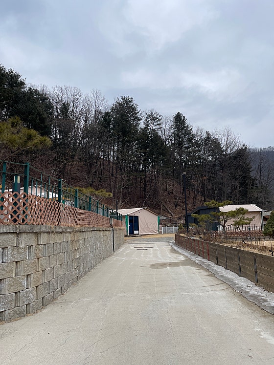 캠프위드펫&애견글램핑 이미지