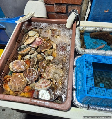 대박소망수산(상일점) 이미지