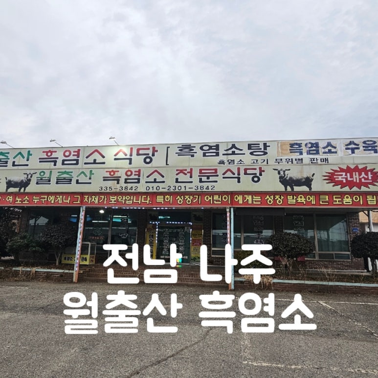 월출산흑염소 사진 3