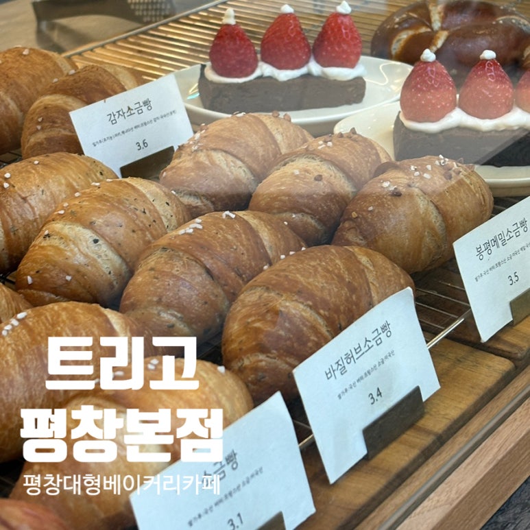 트리고(trigo) 이미지