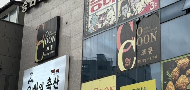 코쿤키즈카페 이미지