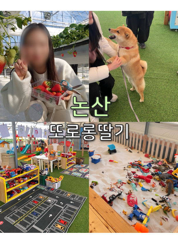 또로롱딸기농장 이미지