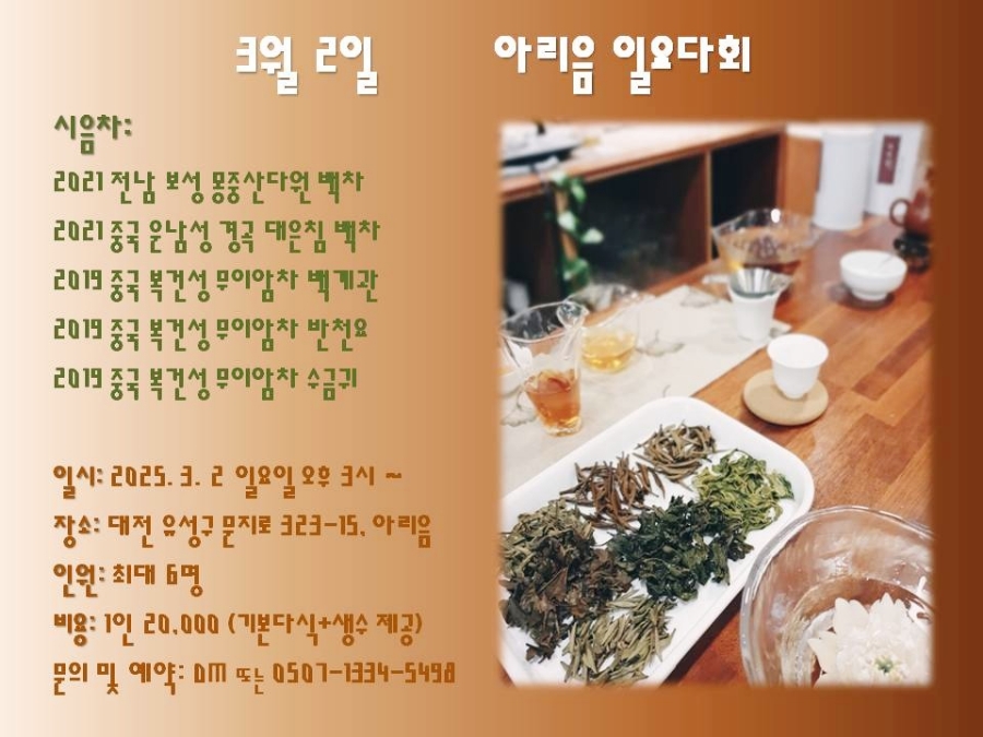 아리음 이미지