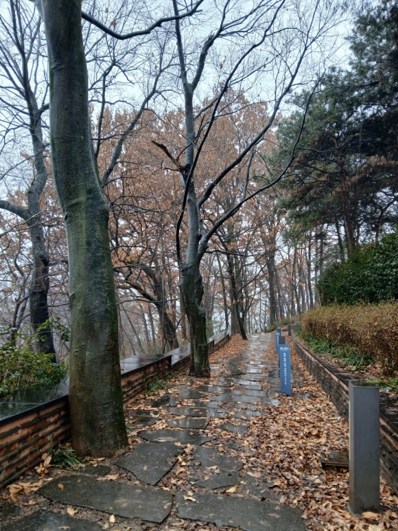 새싹존크린센터 이미지