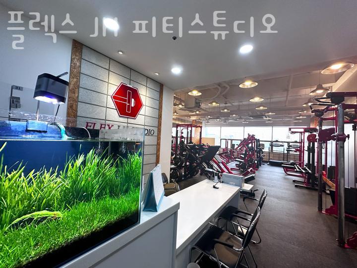피티플렉스 이미지
