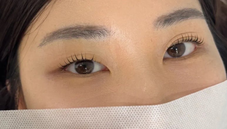 멜트브로우 이미지