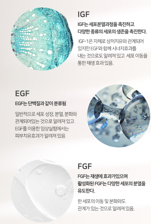 킹스크림 이미지