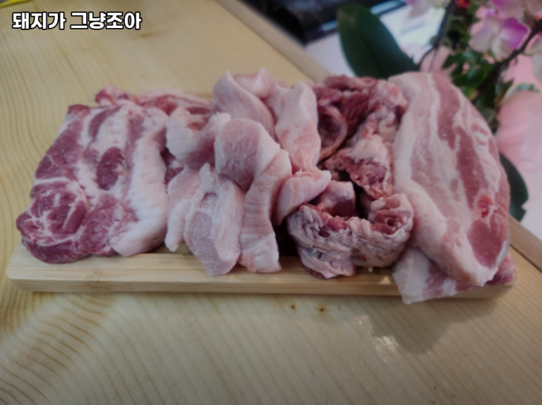 돼지가그냥조아 이미지
