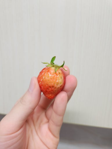 싱싱장터아름점 이미지