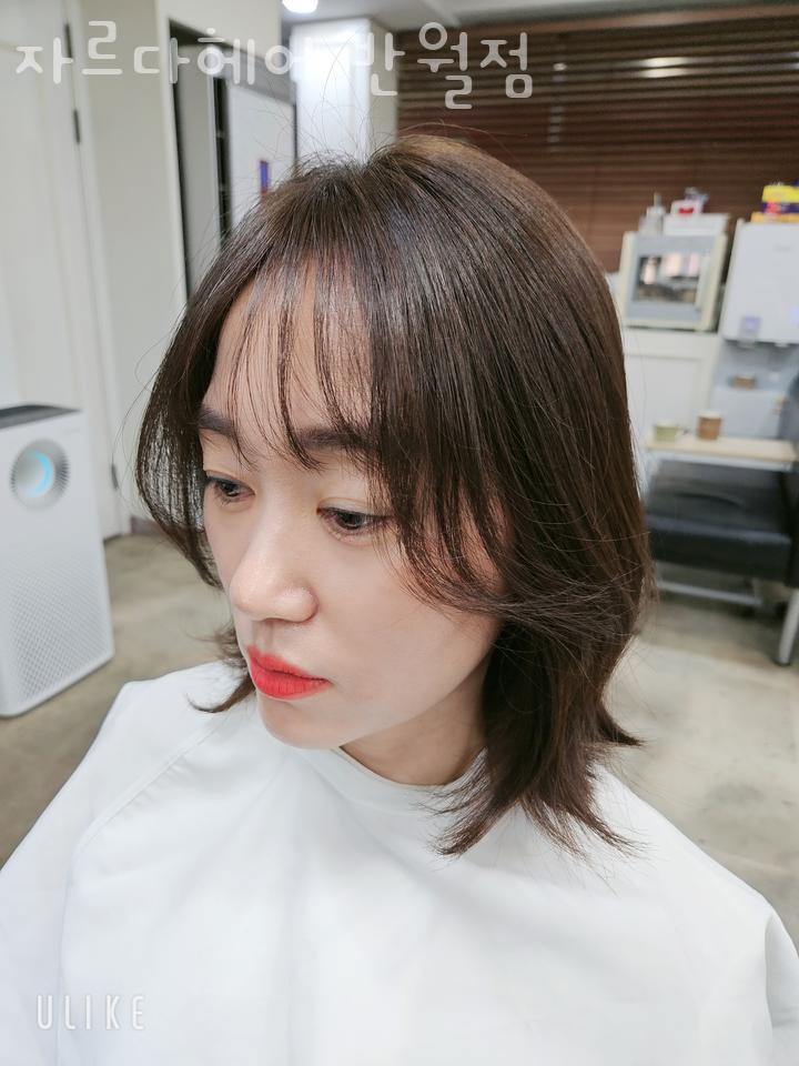 자르다헤어 이미지