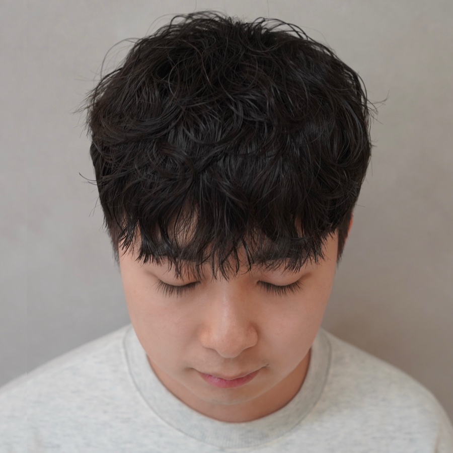 신정수석 이미지