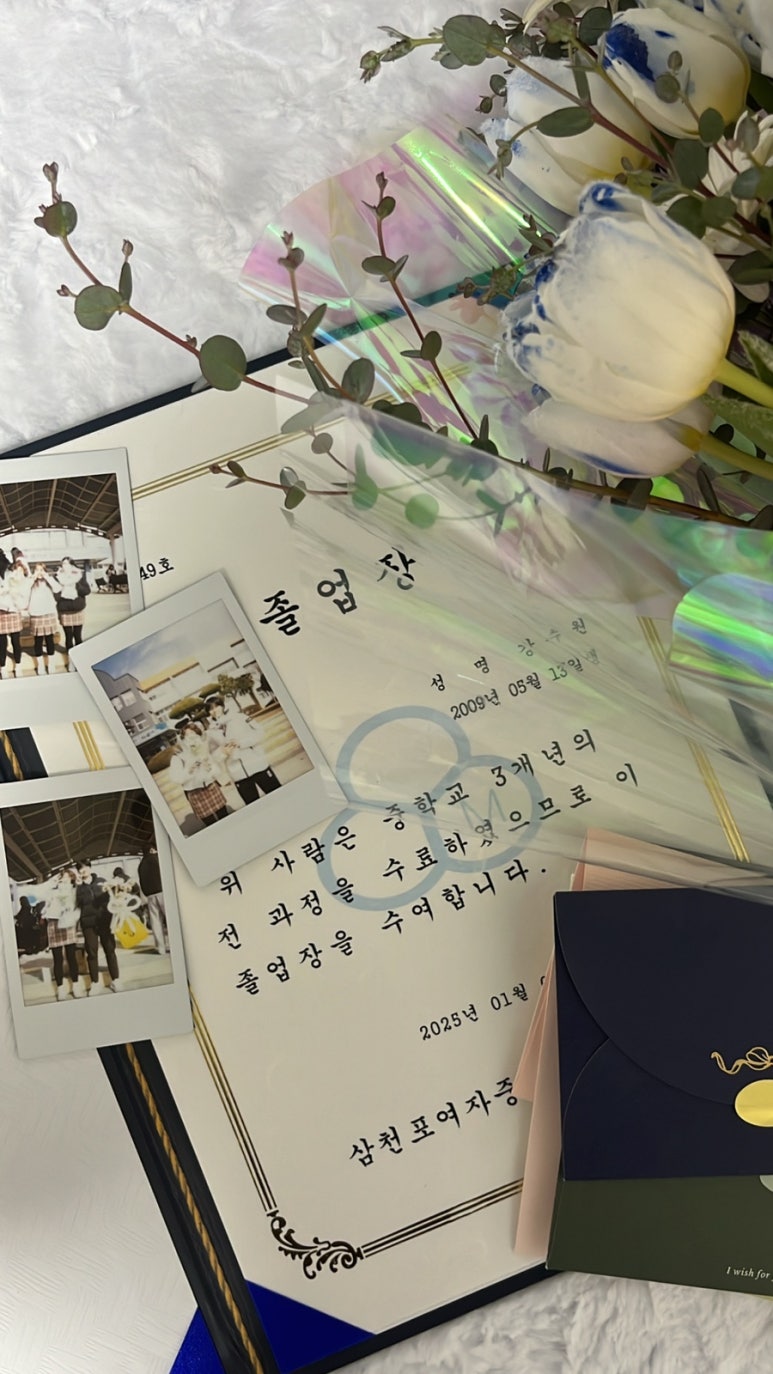 키쿠케이크 이미지