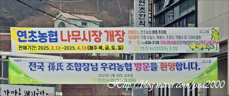 연초농업협동조합 이미지