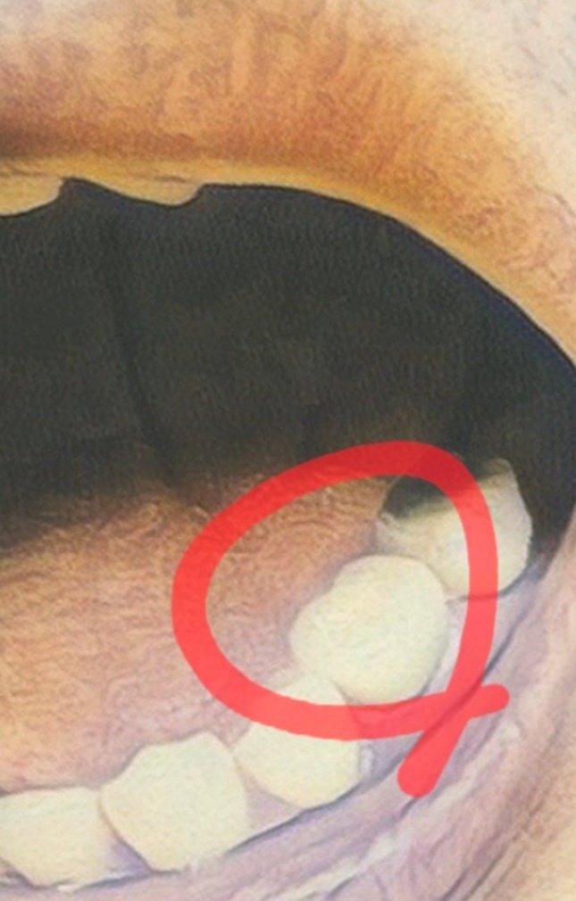 마는끼니 이미지