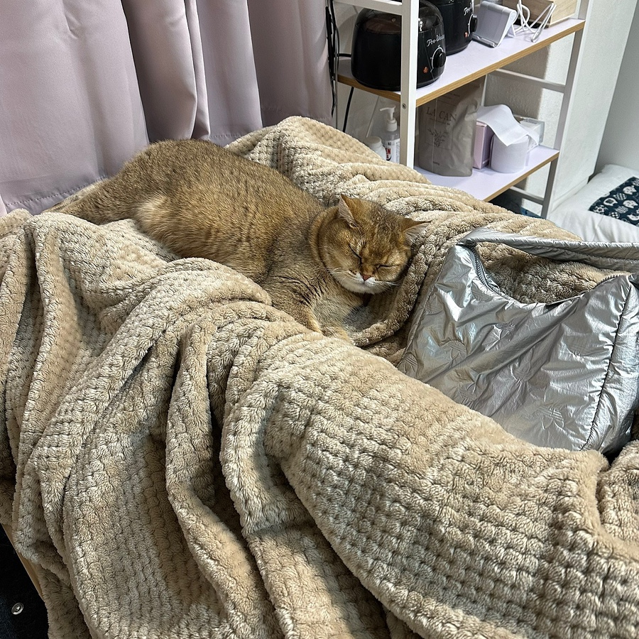 권쓰뷰티 이미지