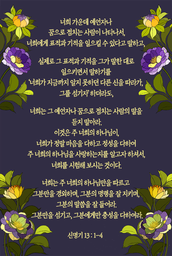 (주)다나음 이미지