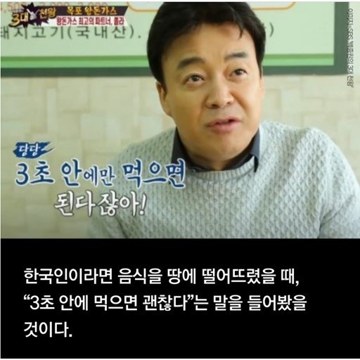 파파도나스 이미지