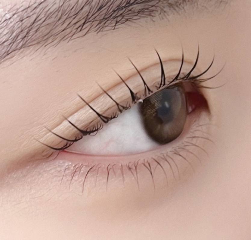 더렛빈 이미지