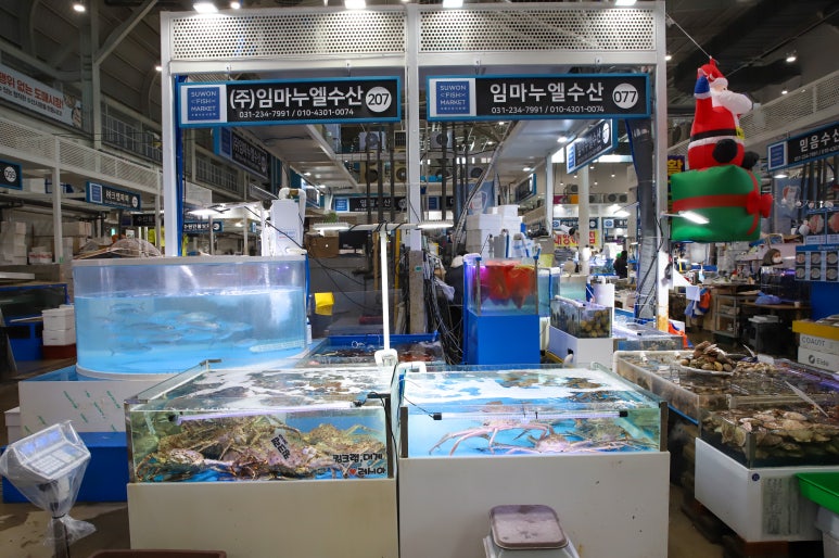 싱싱농수산물 이미지