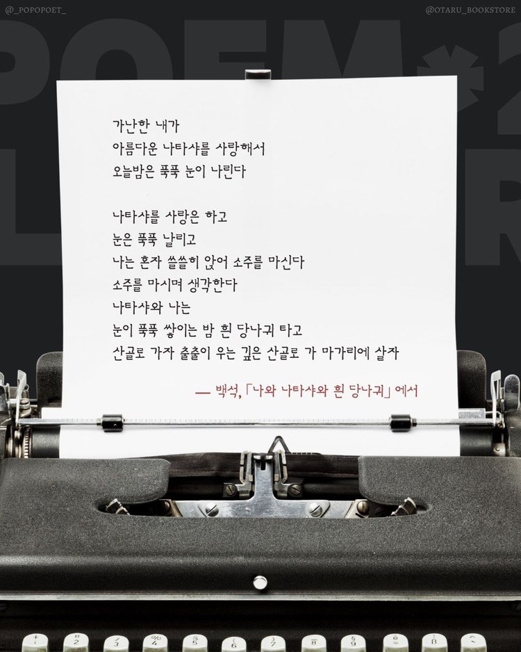시시올 이미지