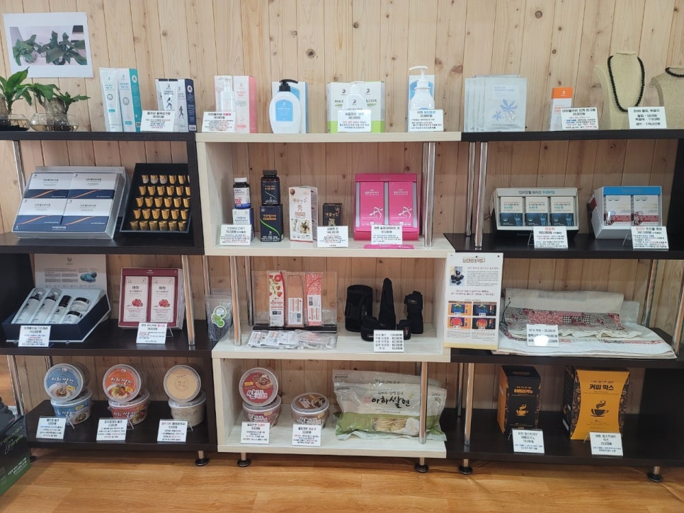 아하데이스파토르말린저온체험관 이미지