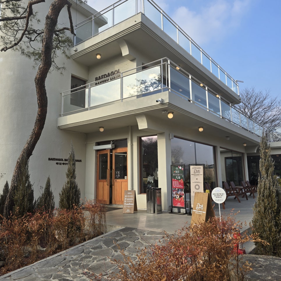 뒹굴뒹굴고양이 이미지