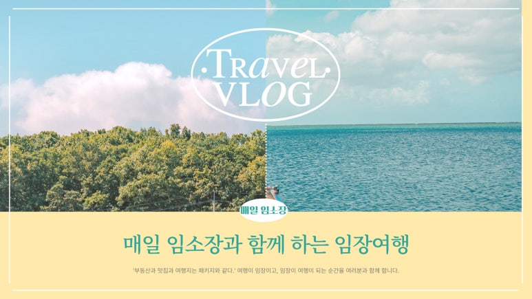 태풍반점 이미지