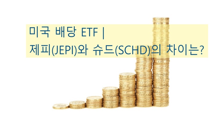 라슈드 이미지