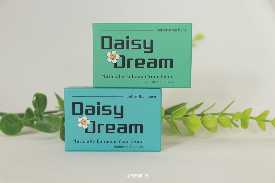 데이지드림 이미지