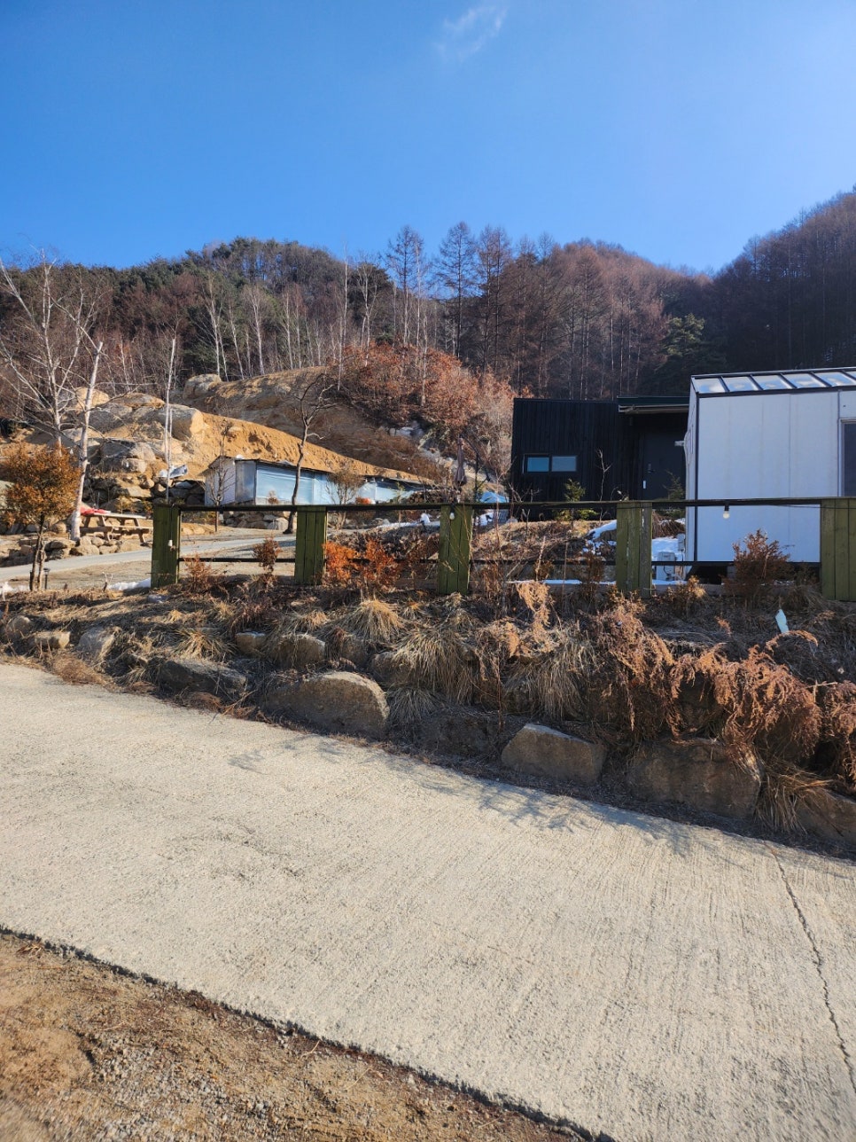 알지캠프266 이미지