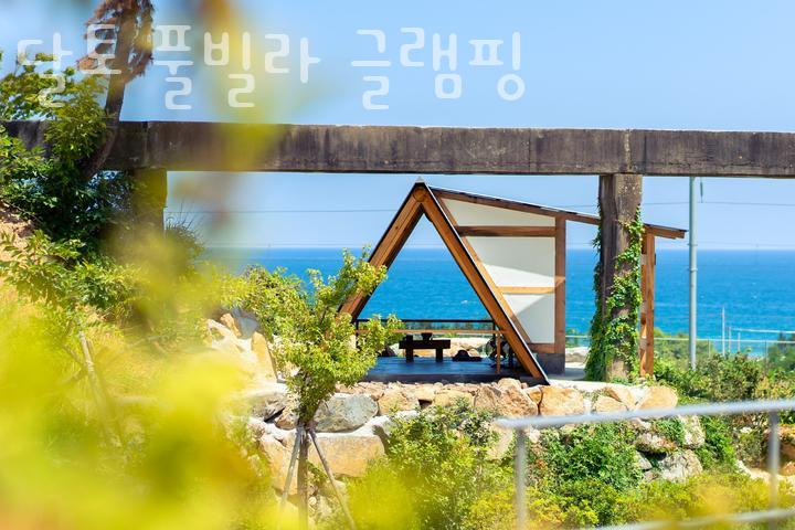 달토 풀 글램핑 이미지