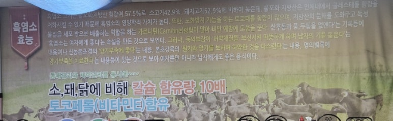 월출산흑염소 사진 2