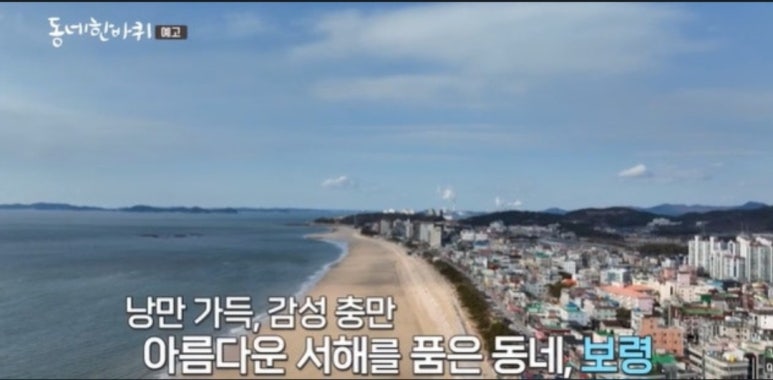 보령정보 이미지
