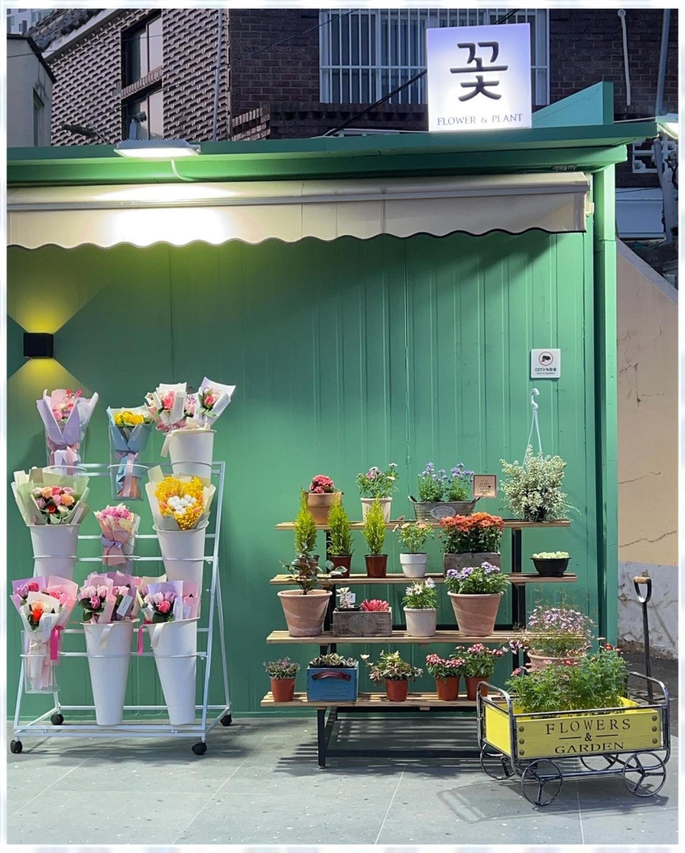 유플라워 이미지