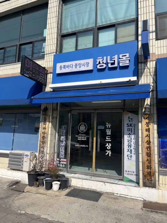 111호프로젝트 이미지
