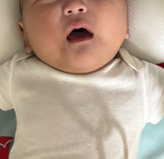 용떡이 이미지
