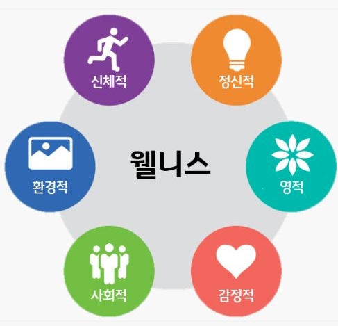 웰니스피트니스 이미지