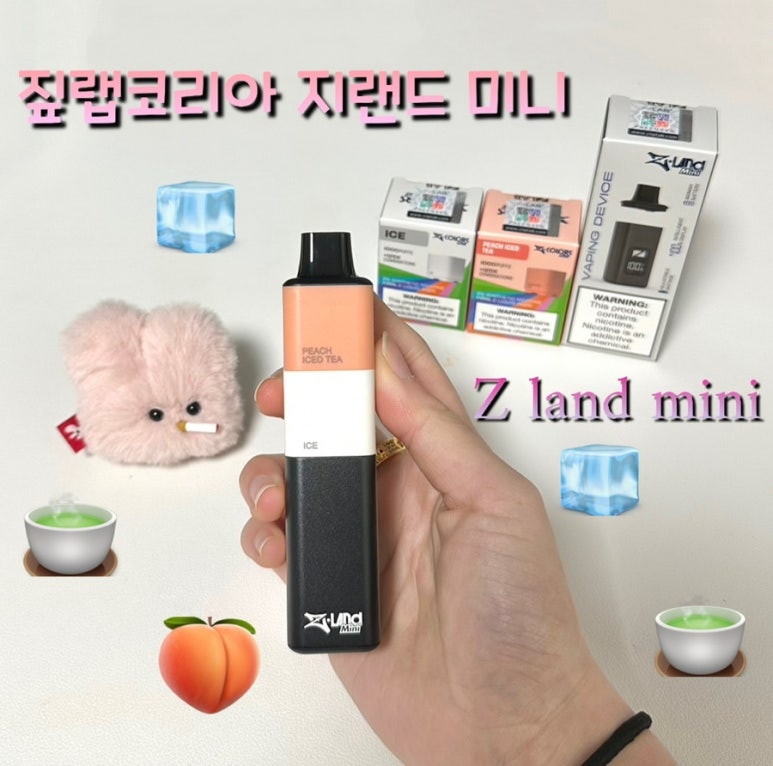 지랜드 이미지