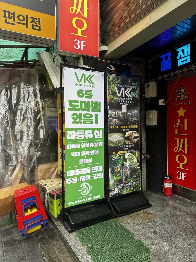 부르메 이미지